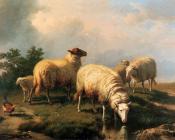 Sheep And A Chicken In A Landscape - 尤金·约瑟夫·维保盖文